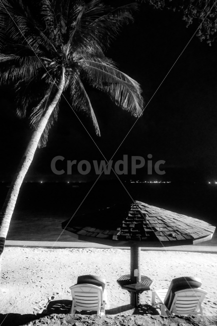 여름,밤,휴가,바다,야자수,여름,계절,summer,season,해변,바다,beach,sea,여행,휴가,traveling,vacation,trip,흑백,모노톤,monochrome,black and white,nature,자연,outdoors,옥외
