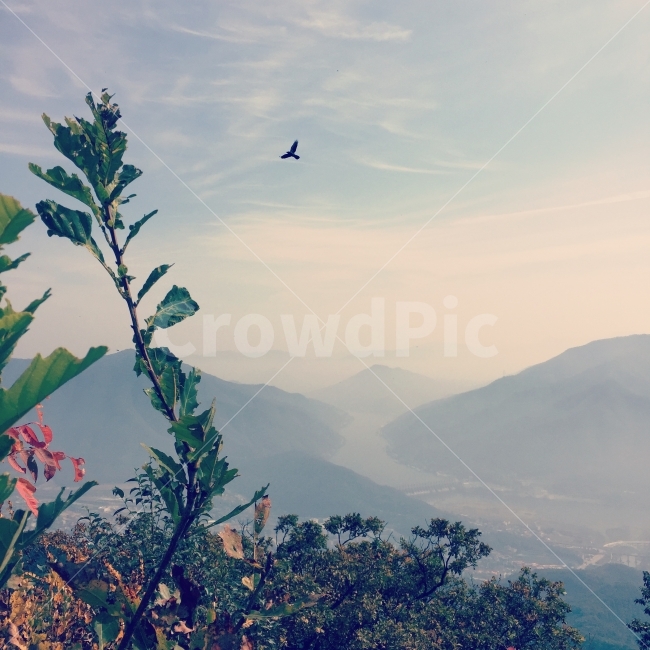 가을산,가늘낙엽,등산,가을새,가을하늘,자연,추읍산,가을,계절,fall,autumn,season,자연,풍경,nature,landscape,한국자연풍경,한국자연경관,korea nature landscape,outdoors,옥외