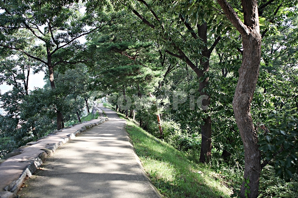 공주산성,성,산성,성곽,길,둘레길,숲,숲길,담,돌담,여름,풍경,벽,방어벽,흙담,나무,식물,유네스코등제