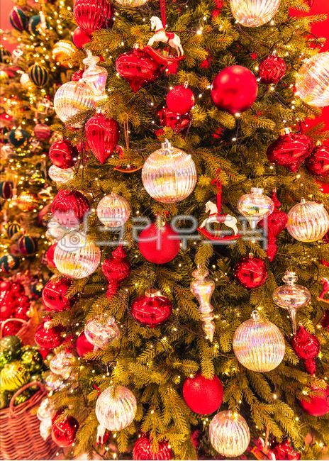 stilllife,highangleview,christmas decoration,christmas tree,winter,inside,christmastree,red,indoors,season,chirstmasdecoration,decoration,close up,festival,christmas,Red,celebration,closeup,background,indoor,high angle,highangle,colorful,object
