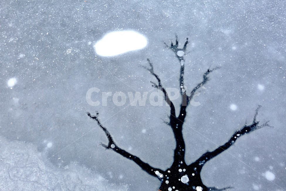 얼음,상상력,동화,동화삽화,ice,imagine,imagination,alien,구름,cloud,나무,tree,자연현상,신기함,자연의신비,겨울,계절,winter,season