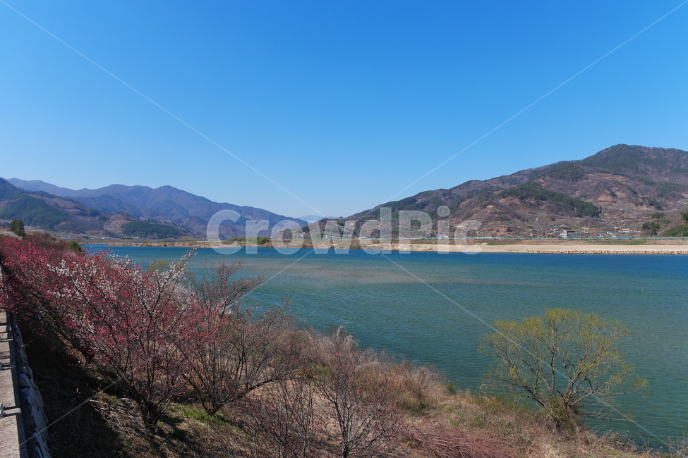 섬진강,강줄기,강,봄,풍경,물,water,자연,nature