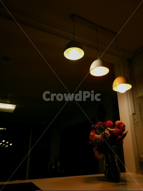 꽃,꽃다발,flower,조명,라넌큘러스,화병,꽃병,실내용화초,화분,화초,house plant