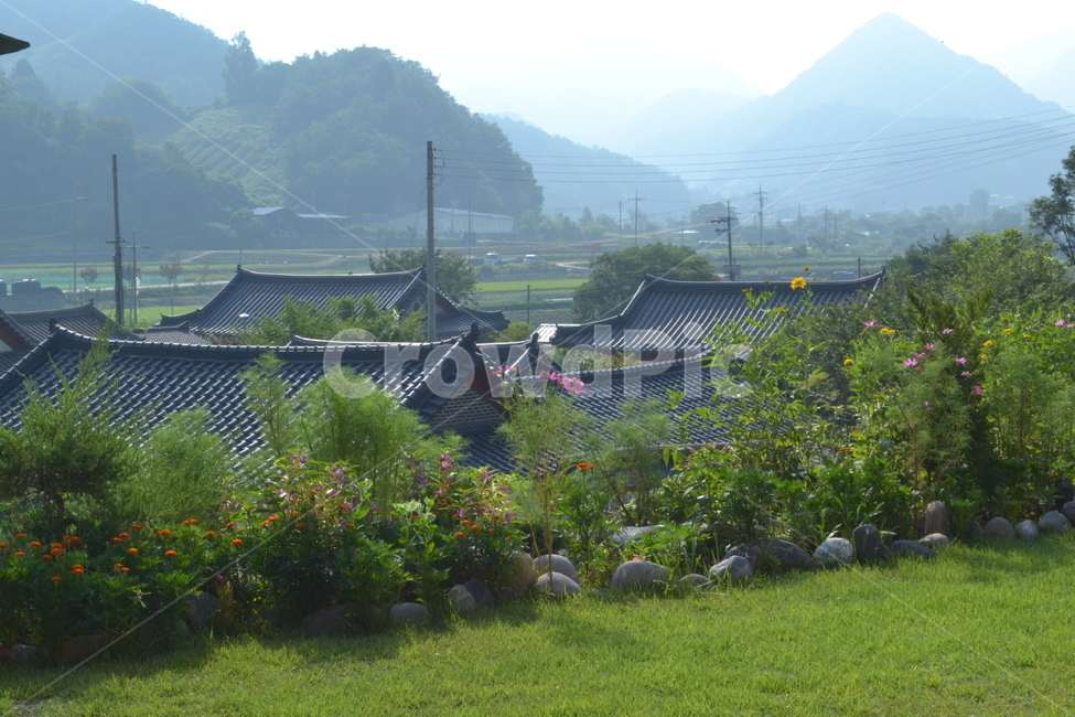 마을,한옥,자연,지붕,시골,시골,마을,풍경,landscape,country,rural,town,한국전통,한국문화,korean traditional,korean culture