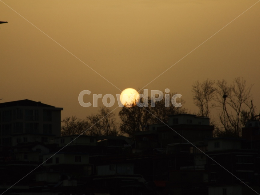 석양,일몰,태양,하늘,역광,도시,풍경,city,landscape,nature,자연,outdoors,옥외,sky