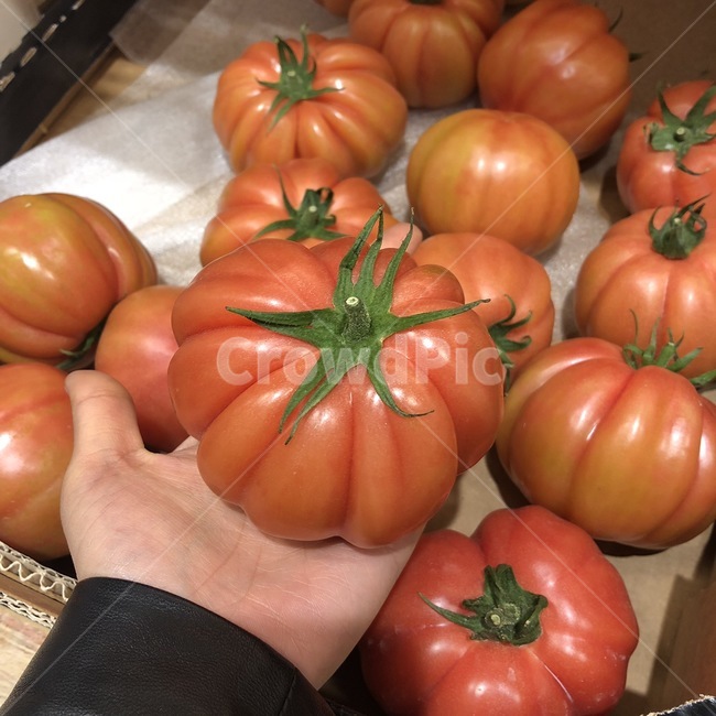 토마토,방울토마토,과일,시장,마트