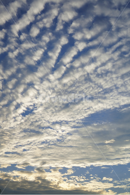 파란,하얀,하늘,구름,양떼구름,여름하늘,여름냄새,자연,풍경,nature,landscape,outdoors,옥외,sky