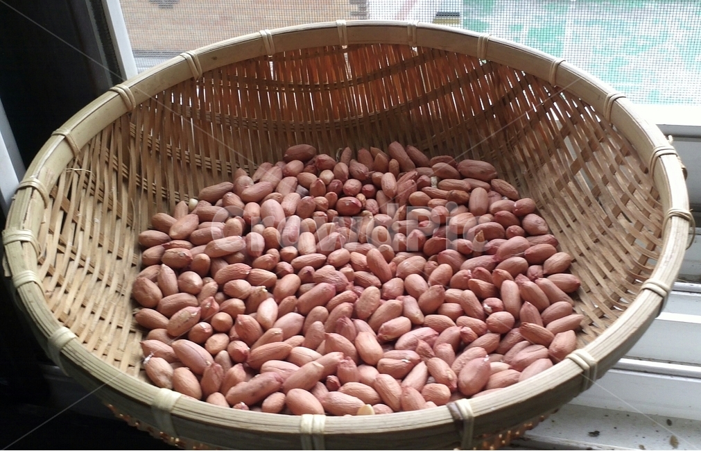 땅콩,장미목,콩과,낙화생,남경두,호콩,음식,식재료,요리,food,cook,meal,dishes,food reserves,콩류,견과류,beans,pulse,nuts,dry fruits