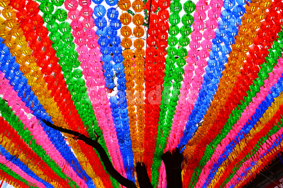 night view,color full,wish,beautiful,Buddhism,Chopail,Lotus lantern,buddhisttemple,event,brilliant,Buddhas birthday,festival,night,Sakyamuni,lotuslanternfestival,lighting,buddhism,lantern,religion,seoul,prayer,light,temple,colorful