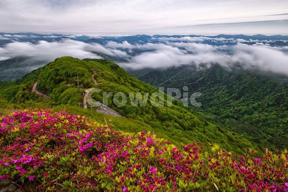 휴식,합천,오도산,봄,운해,봄,계절,spring,season,자연,풍경,nature,landscape,한국자연풍경,한국자연경관,korea nature landscape,outdoors,옥외