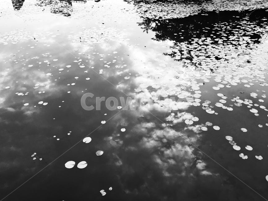 puddle,흐리게하다,연못,하늘,흑백,흑백,모노톤,monochrome,black and white