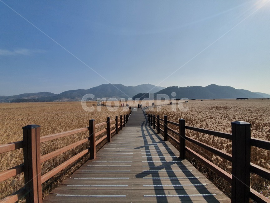bridge,다리,boardwalk,railing,난간,산책로