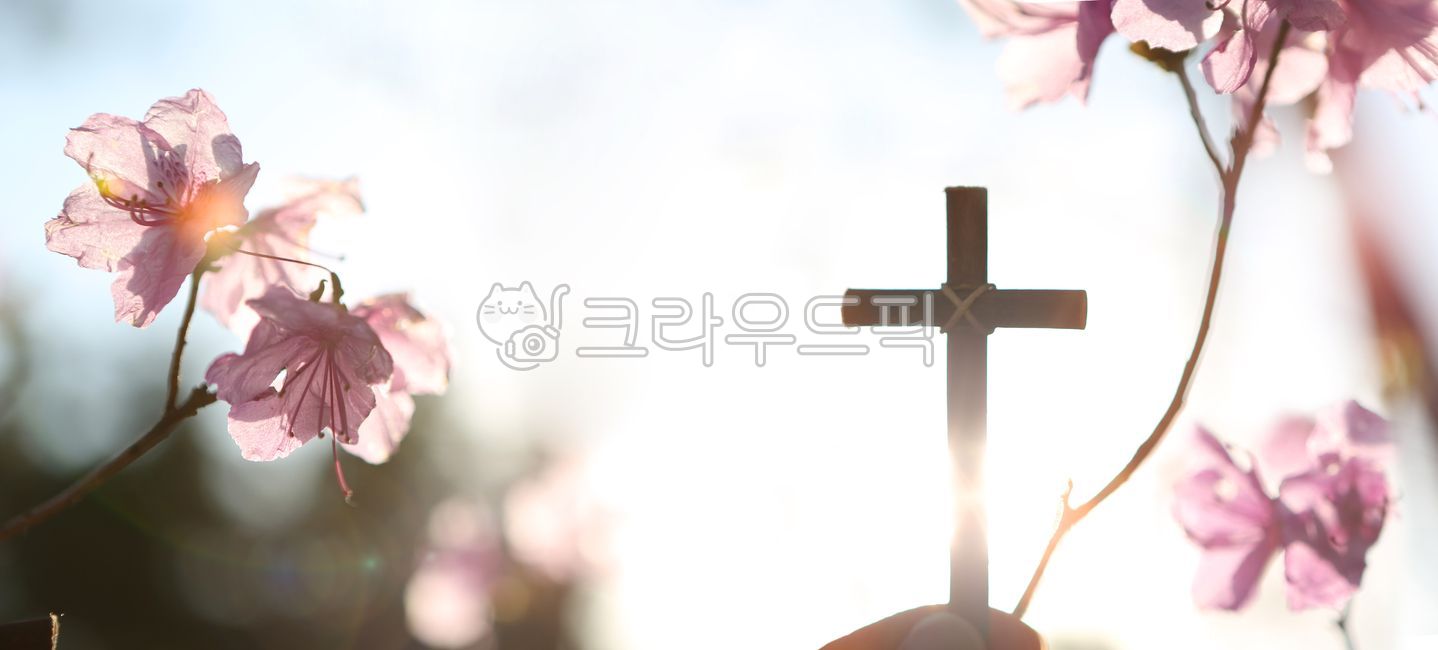 봄,십자가,손,예수그리스도,진달래꽃,꽃,잎,분홍색,아침,햇살,태양,밝은,하나님,믿음,신앙,교회,거룩한,성당,기독교,천주교,일출,배경,하늘,빛,복음,선교,예배,기도,은혜,성령,묵상,햇빛,부활절,실루엣,상징,고난,죽음,부활,성경,신선한,싱그러운,예수님,나무,흰색,보케,배너,크리스찬,일요일,아름다운