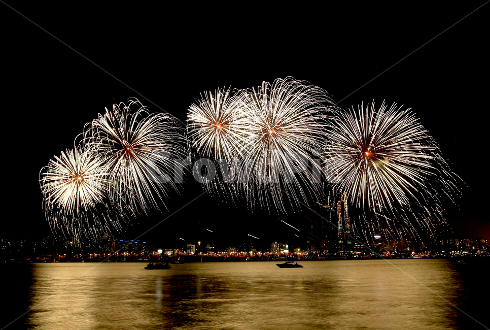 불꽃놀이,불꽃축제,여의도불꽃축제,세계불꽃축제,붉은나무,붉은하늘,야경,밤,풍경,nightscape,night,landscape,축제,행사,festival,carnival,event,nature,자연,outdoors,옥외