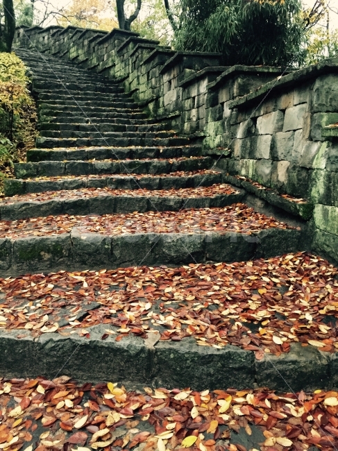 가을,돌담길,낙엽,비갠후,fall,가을,계절,fall,autumn,season,walkway,보도,path,통로,slate,슬레이트,flagstone,판석