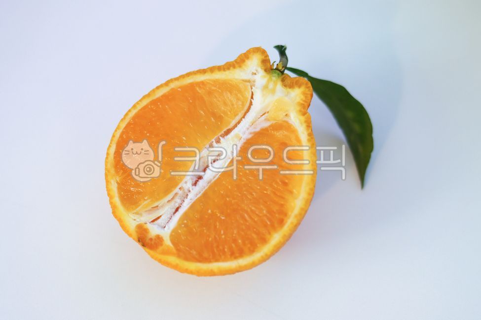 감귤류과일,fruit,과일,오렌지,orange,제주도,한라봉
