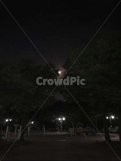 달,달빛,저녁,밤하늘,하늘,sky,moon,공원,밤