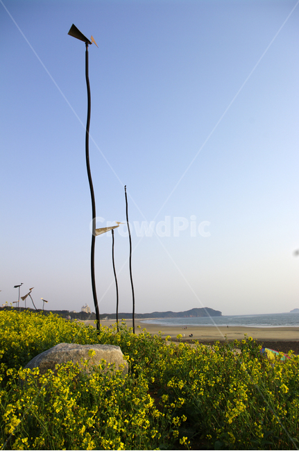 솟대,하늘,유채꽃,식물,꽃,자연,풍경,nature,landscape,outdoors,옥외,grassland,목초지,field,들