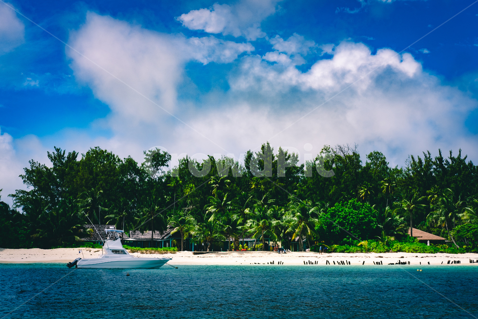 해변,야자수,보트,셰이셀,seychelles,인도양,디로셰섬,자연,풍경,nature,landscape,land,땅,outdoors,옥외,ocean,대양,sea,바다,water,물,shoreline,해안선,coast,연안