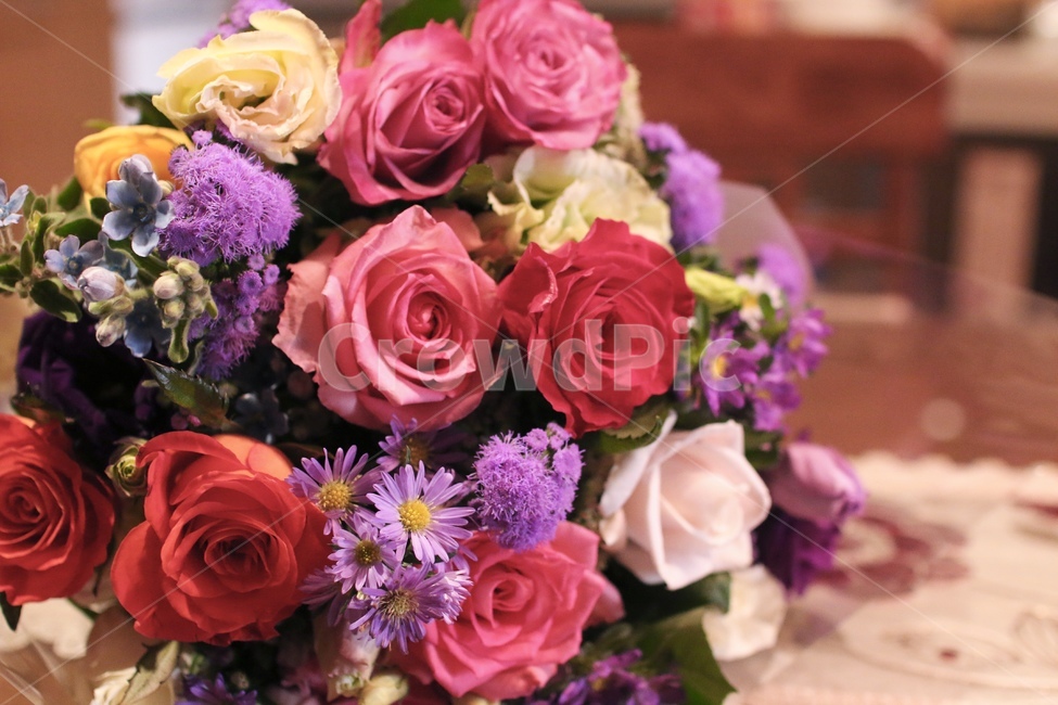장미꽃다발,장미꽃,꽃다발,화려한,꽃,장미,꽃,flower,기념일,축하,anniversary,congratulation,celebrate,celebration