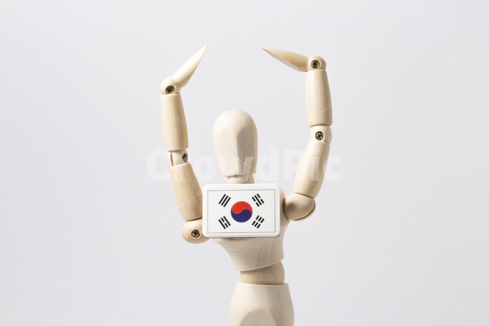 wooden doll,jointed doll,korea,flag,joint,doll,Korean Flag