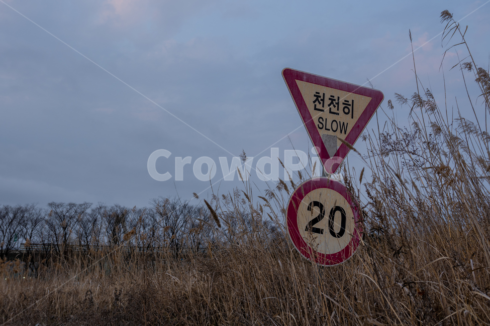 천천히,황무지,표지판,상징,들판,slow