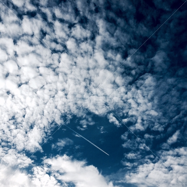 제주의하늘,하늘,구름,제주도,여행,자연,풍경,nature,landscape,sky,azure sky,푸른 하늘,outdoors,옥외,cloud