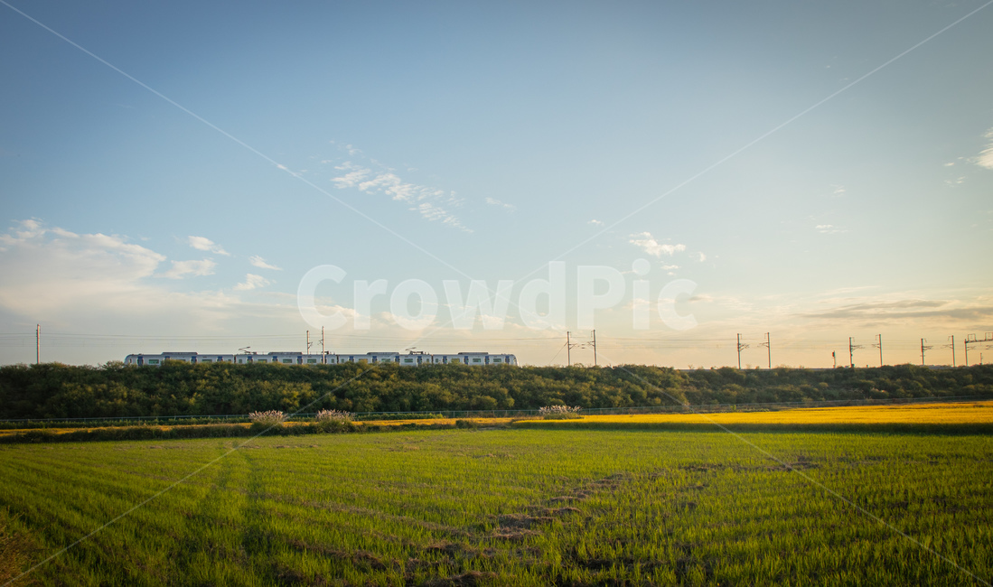 자연,풍경,시골,철도,기차,푸른,가을,하늘,landscape,train,sky,nature,가을,계절,fall,autumn,season,교통,교통수단,traffic,transportation,field,들,outdoors,옥외,grassland,목초지
