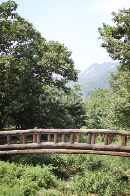 한국전통,한국문화재,문경,문경새재,자연풍경,나무다리,숲속,traditionalkorean,koreanculturalassets,mungyeong,mungyeongsaejae,naturalscenery,woodbridge,forest