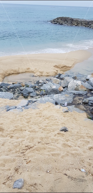 방파제,바다,모래,돌,푸름,풍경,해변,바다,beach,sea