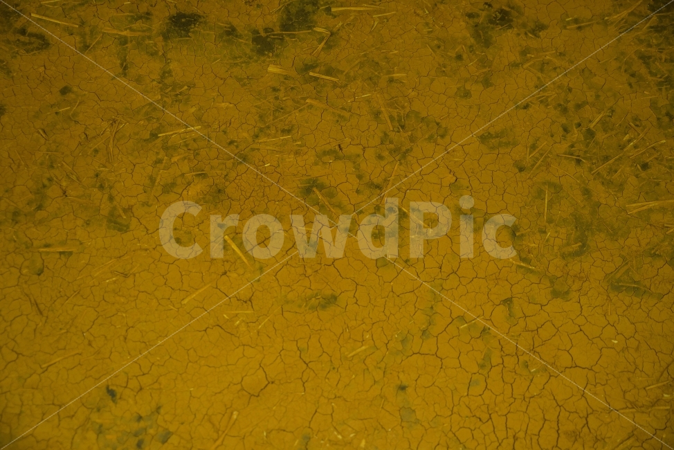 텍스쳐,황토,갈라짐,시골,전통,황토벽,텍스처,질감,패턴,texture,pattern
