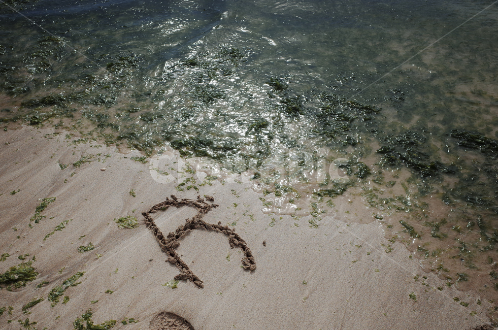 바다,해변,하늘,sea,beach,ocean,sky,blue,푸른하늘,푸른바다,파란바다,파란하늘,푸른,파란,물,water,ground,바닥,알파벳,r,글자,글씨,손글씨,대문자,sand,진흙,mud,해변,바다,beach,sea