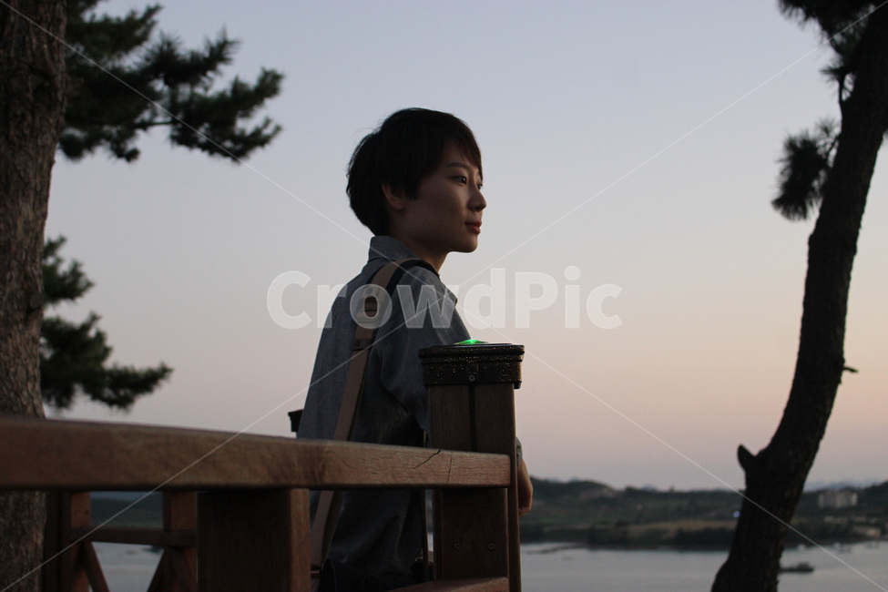 wood,나무,person,사람,human,인간,소나무,바다,sea,난간,산,구경,자연,nature,사람,인물,인간,human,person