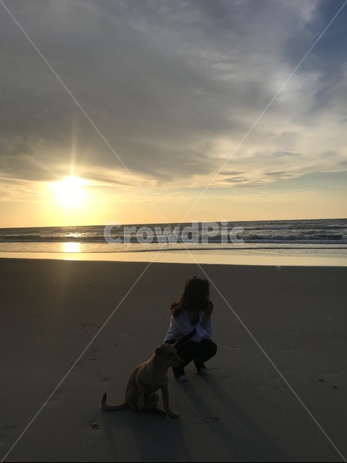 석양,선셋,해변,개,인물,여자,강아지,바다,구름,하늘,해,태양,수평선,바닷가,그림자,사람