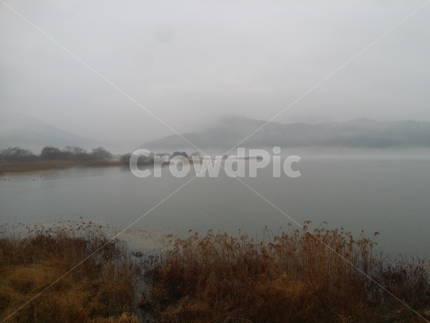 물안개,호수,저수지,풍경,안개,자연,풍경,nature,landscape,weather,날씨,outdoors,옥외
