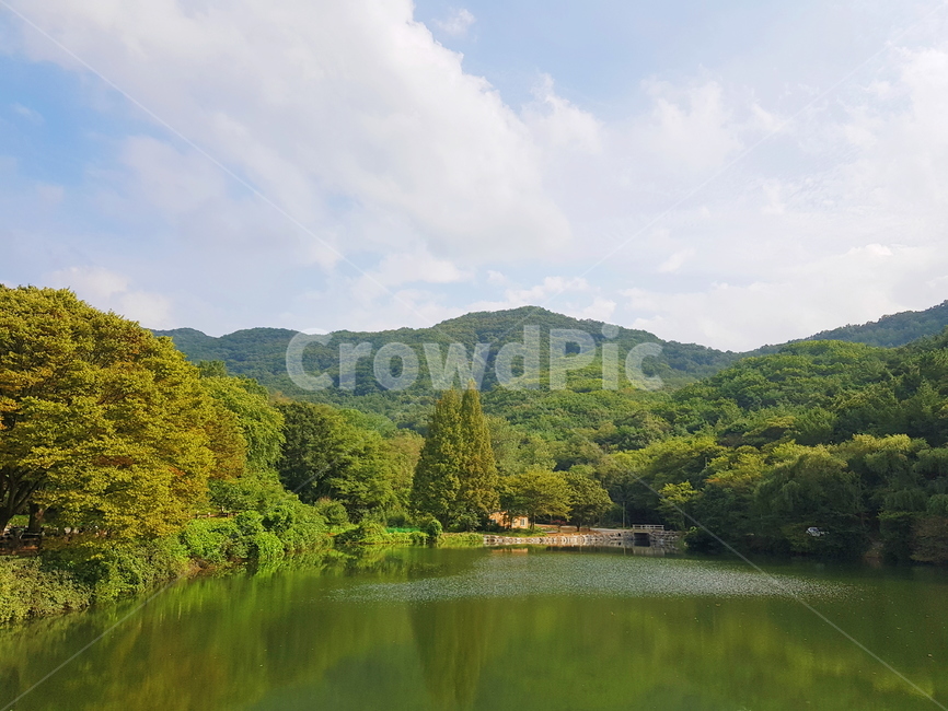 봄,나무,자연,호수,물,옥외,lake,outdoor,nature,자연,풍경,nature,landscape