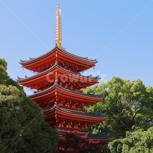 일본,japan,후쿠오카,fukuoka,절,풍경,도초지