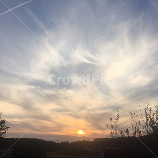 하늘,노을,구름,비행운,풍경