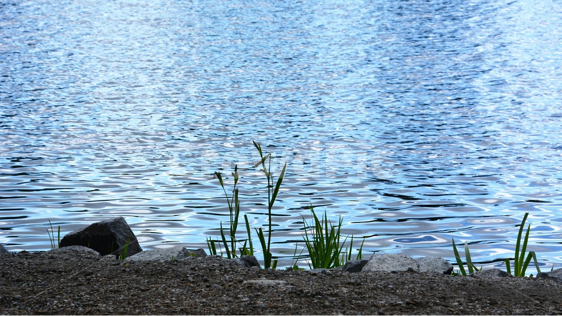 호수,연못,자연,신비,청아함,평온,자연,풍경,nature,landscape,식물,plants,water,물,outdoors,옥외