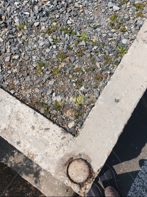 분위기있는,옛풍경,시골,자갈,따뜻한,기분좋은,countryside,gravel,romantic
