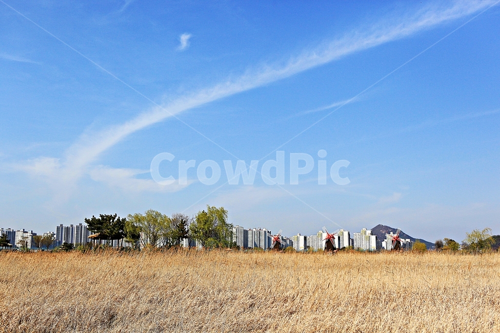 풍차,갈대,식물,자연,생태공원,풍경,배경,자연,풍경,nature,landscape,outdoors,옥외