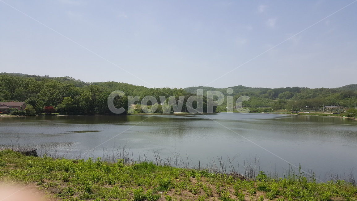 자연,landscape,nature,저수지,잔잔한