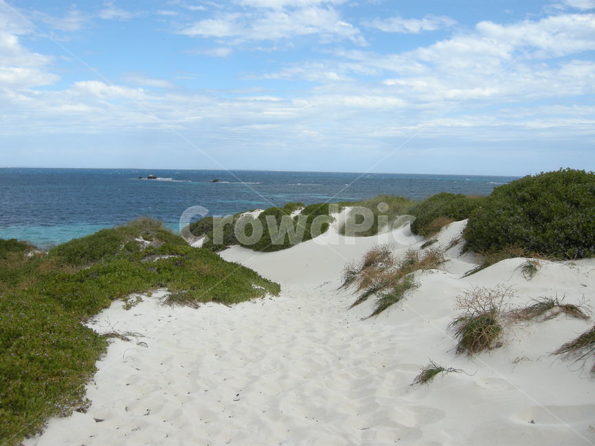 호주,퍼스,로트네스트,rottnest,모래,sand,nature