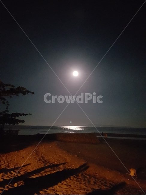 nature,자연,outdoors,옥외,shoreline,해안선,water,물,ocean,대양,sea,바다,coast,연안,beach,바닷가,밤,moon,달,night