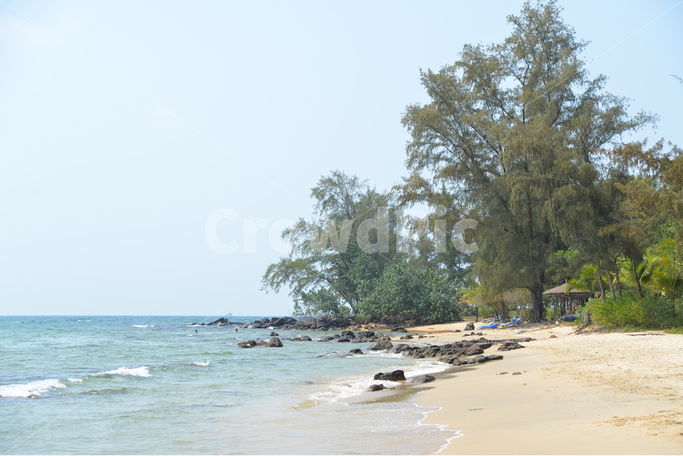 자연,풍경,나무,바다,해변,자연,풍경,nature,landscape,해변,바다,beach,sea,여행,휴가,traveling,vacation,trip,water,물,shoreline,해안선,ocean,대양,outdoors,옥외,land,땅,coast,연안,바닷가