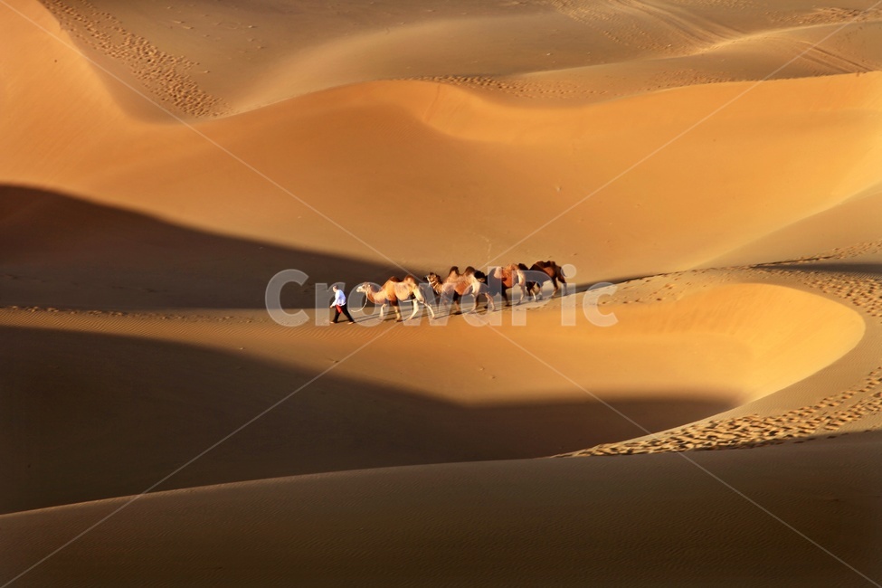 person,human,인간,사막,바단지린사막,중국,낙타,사람,nature,자연,sand,모래,outdoors,옥외,dune,모래언덕,동물,animal,포유류,mammal