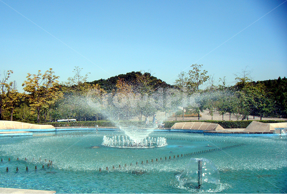 분수,분수대,여름,청량,물,자연,풍경,nature,landscape,water