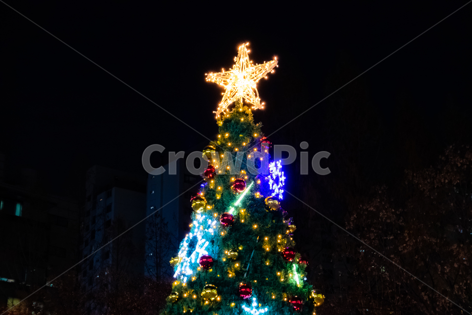 트리,tree,별,star,christmas,크리스마스,전구,christmastree,크리스마스트리,나무,장식,ornament,겨울,계절,winter,season,기념일,축하,anniversary,congratulation,celebrate,celebration,메리크리스마스,성탄절,merry christmas