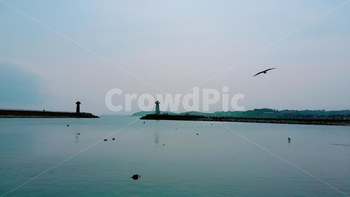 sea,nature,자연,outdoors,옥외,sky,ocean,lighthouse,자연,풍경,nature,landscape,등대,lighthouse,animal,동물,bird,새