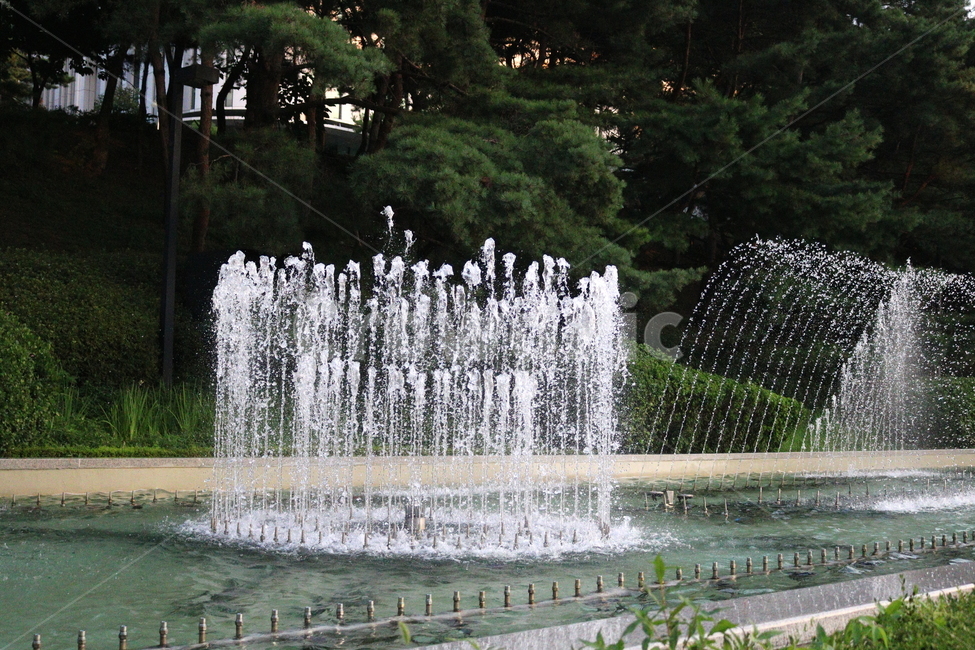 분수,분수대,물,공원,예술의전당,나무,소나무,자연,풍경,nature,landscape,water
